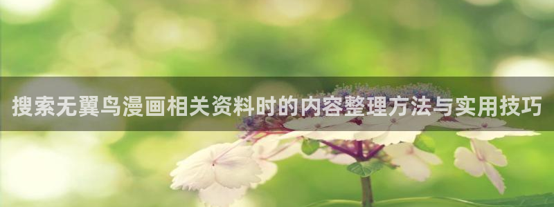 热门漫画：搜索无翼鸟漫画相关资料时的内容整理方法与实用技巧