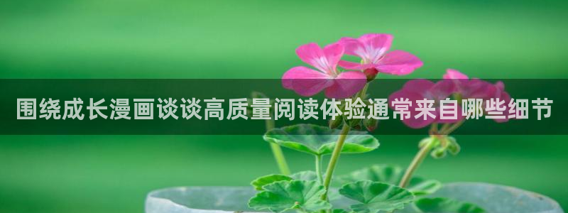 51漫画官网